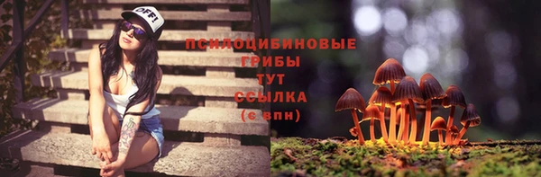 ПСИЛОЦИБИНОВЫЕ ГРИБЫ Протвино