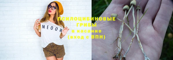 гидропоника Алексин
